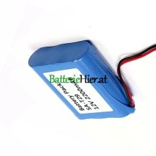 Batteriewechsel für SPS SA-T29