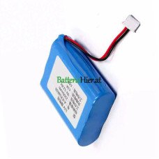 Ersatzakku für PLC 2DF-FS01