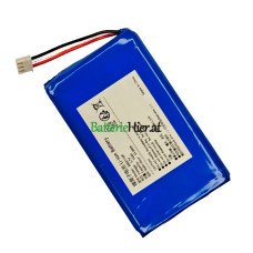 Ersatzakku für PLC FL03 8862110P