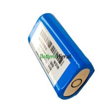 Ersatzakku für PLC TLH-186-2P2G