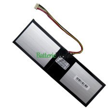 Ersatzakku für PDA 10Buckles-7Lines 5067103-2SP