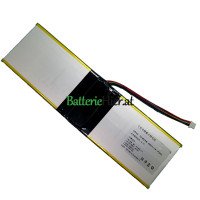 Ersatzbatterie für YLY 5070172