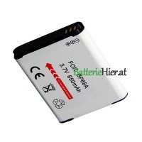 Ersatzakku für Samsung DV200 DV300F DV300H 650mAh BP-88A DV300