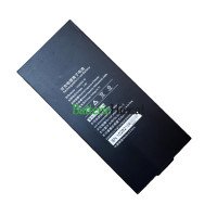  Batteriewechsel für LARGE 41DZ003-10
