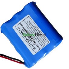 Batteriewechsel für PLC 21700-3S1P-12V