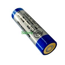  Batteriewechsel für PLC 90738