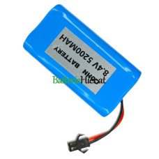  Batteriewechsel für PLC RGB516