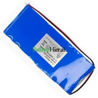  Batteriewechsel für SPS 3S3P2209