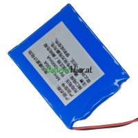  Batteriewechsel für SPS MHLS-180A